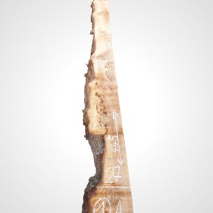 Jilm evropský 50/52 mm - 1