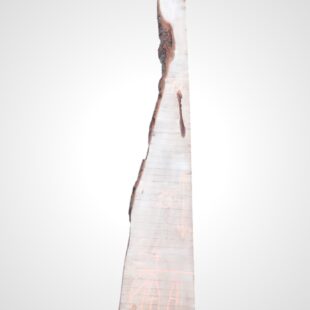 Kaštanovník 52 mm - 14