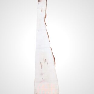 Kaštanovník 52 mm - 14