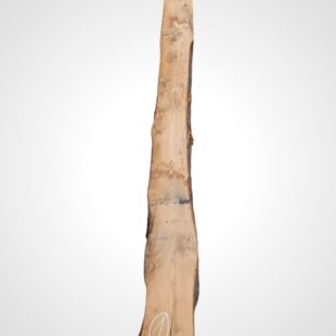 Kaštanovník 70 mm - 1