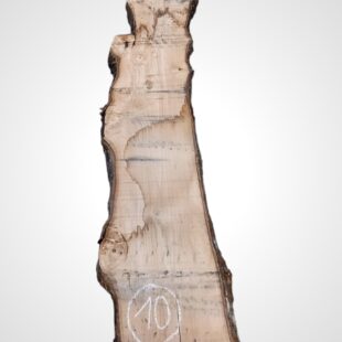 Kaštanovník 70 mm - 10