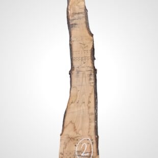 Kaštanovník 70 mm - 2