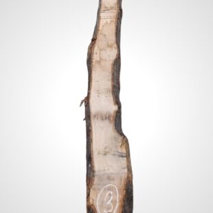 Kaštanovník 70 mm - 3