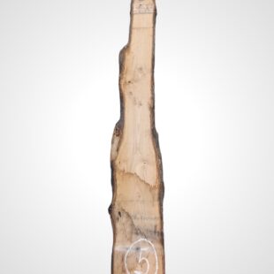 Kaštanovník 70 mm - 5