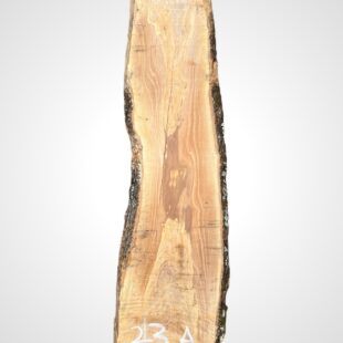 Oliva 32 mm - 23
