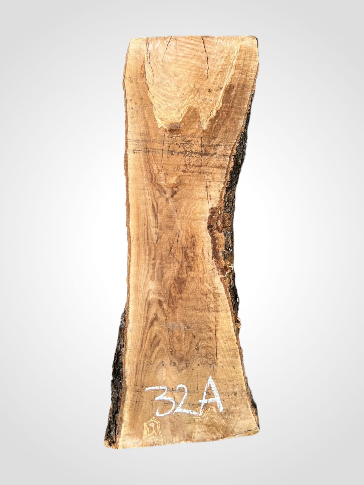 Oliva 32 mm - 32