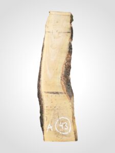 Oliva 32 mm - 43