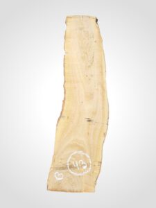 Oliva 32 mm - 43