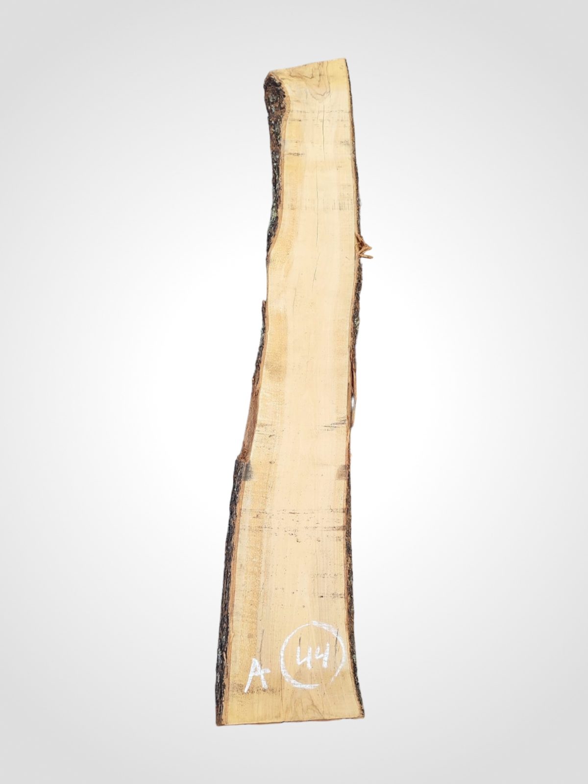 Oliva 32 mm - 44