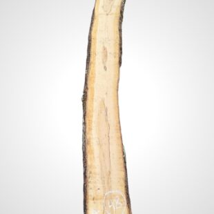 Oliva 32 mm - 48