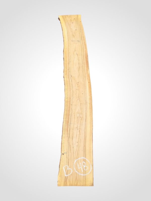 Oliva 32 mm - 48