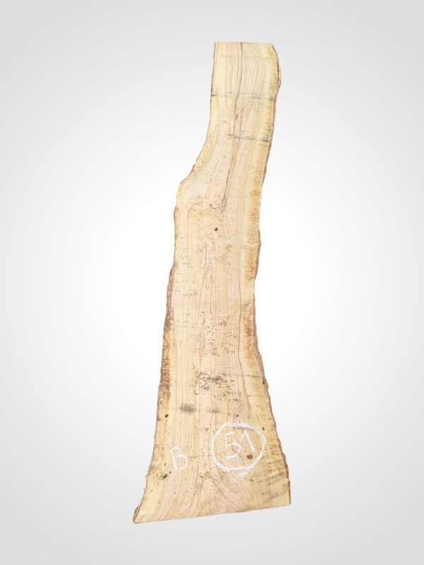 Oliva 32 mm - 51