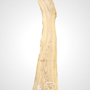Oliva 32 mm - 55