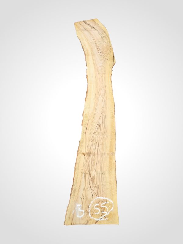 Oliva 32 mm - 55