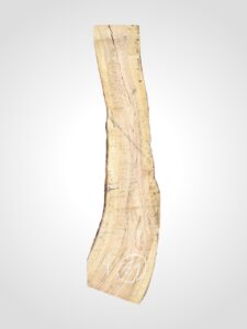 Oliva 32 mm - 61