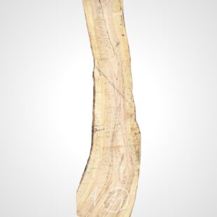 Oliva 32 mm - 61