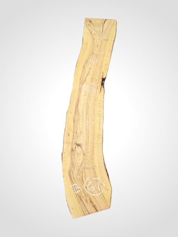 Oliva 32 mm - 61