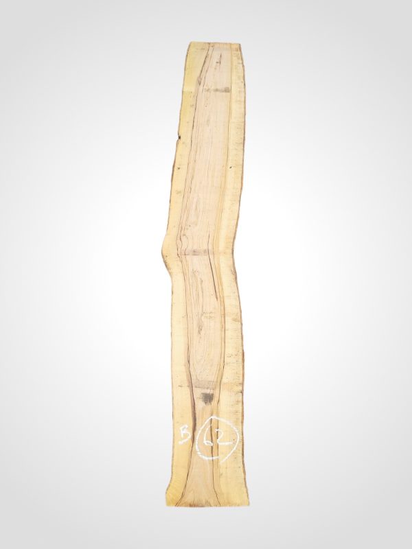 Oliva 32 mm - 62