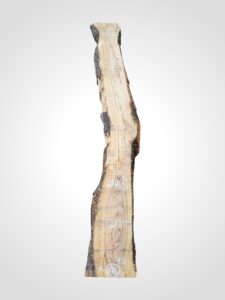 Oliva 70 mm - 101