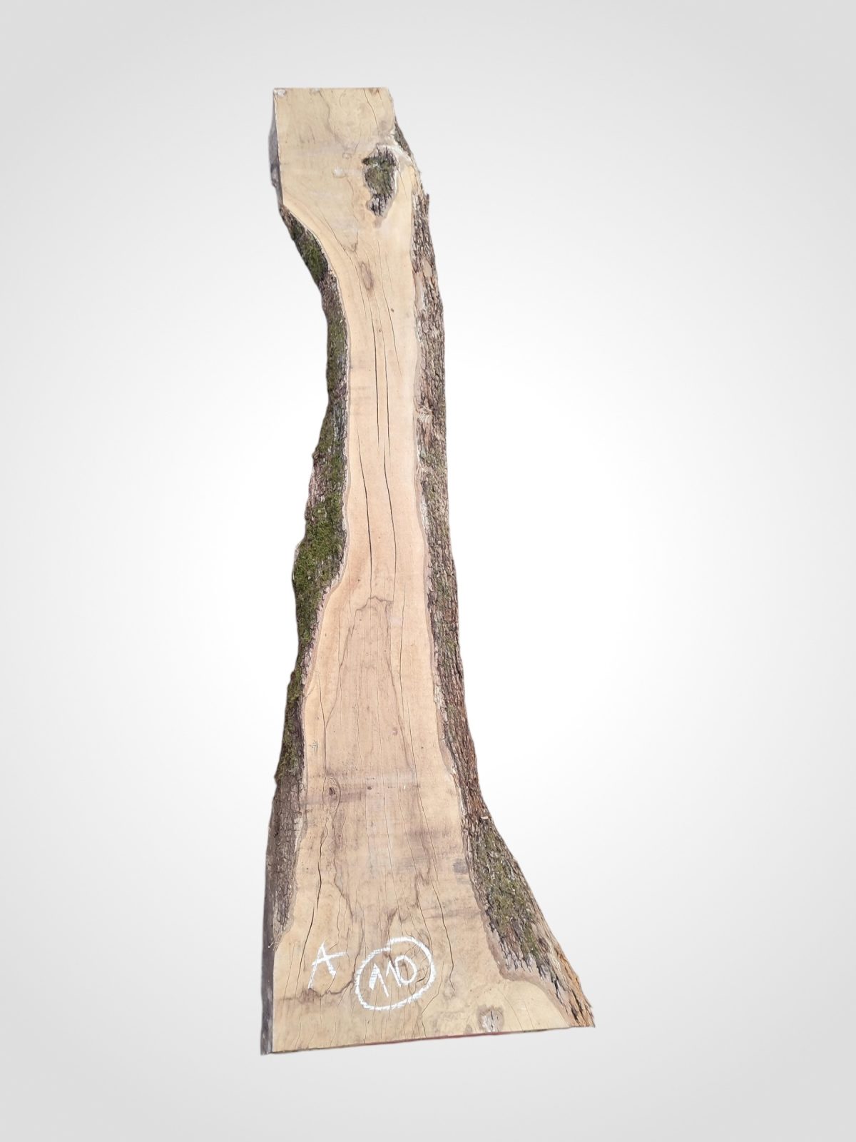 Oliva 70 mm - 110