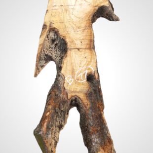 Oliva 70 mm, SD - 11