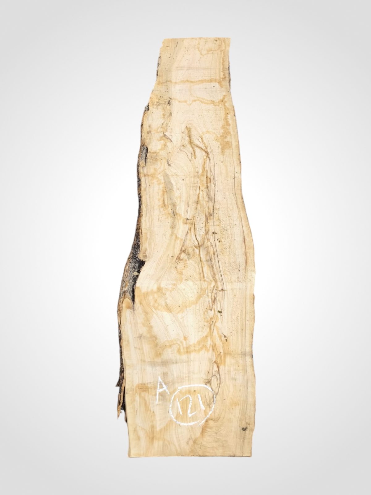 Oliva 70 mm - 121