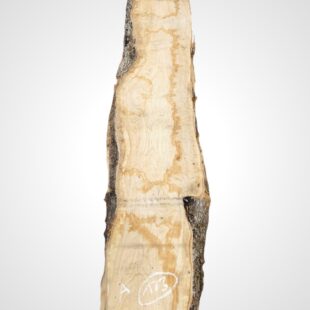 Oliva 70 mm - 123