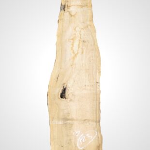Oliva 70 mm - 123