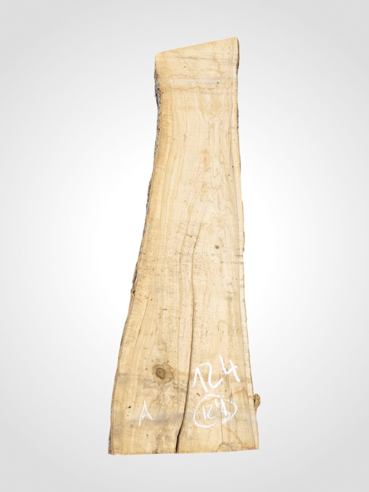 Oliva 70 mm - 124