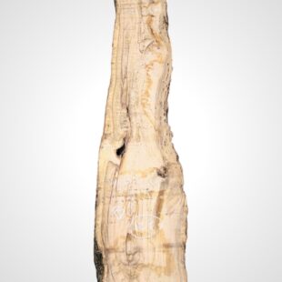 Oliva 70 mm - 127