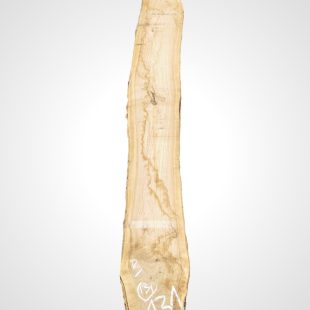 Oliva 70 mm - 131