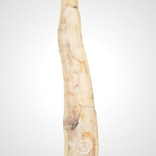 Oliva 70 mm - 21