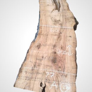 Oliva 70 mm, EP - 22