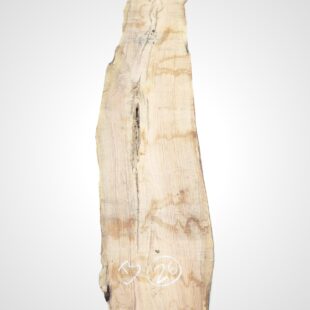 Oliva 70 mm - 26