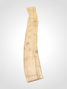 Oliva 70 mm - 32