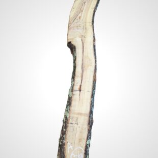 Oliva 70 mm - 36