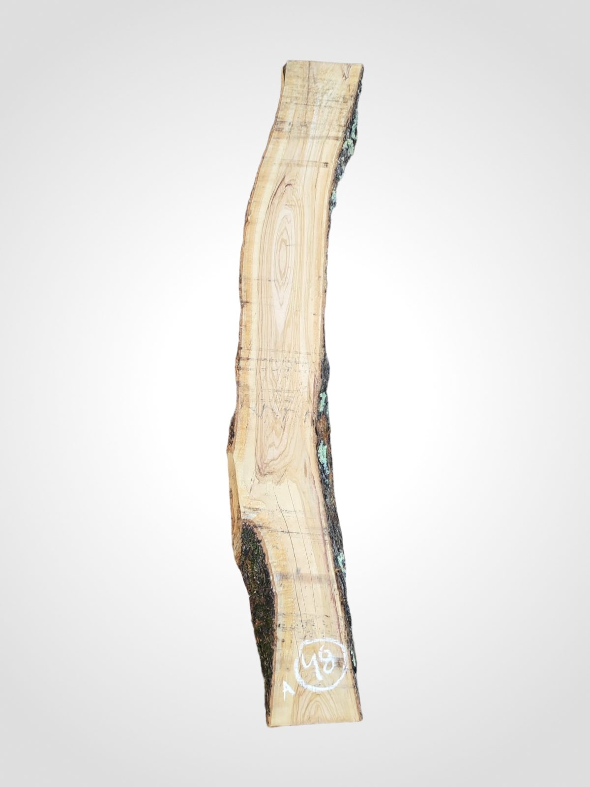 Oliva 70 mm - 47