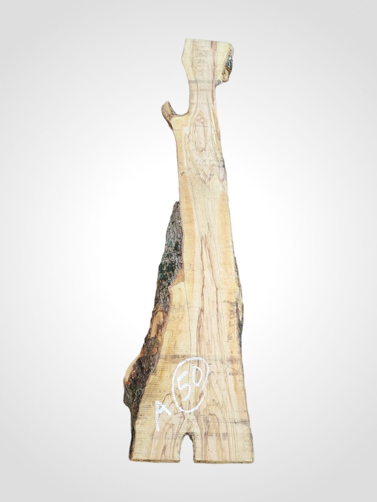 Oliva 70 mm - 50