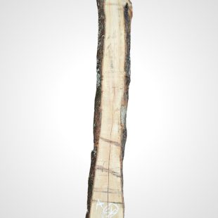 Oliva 70 mm - 56