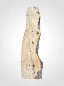 Oliva 70 mm - 57