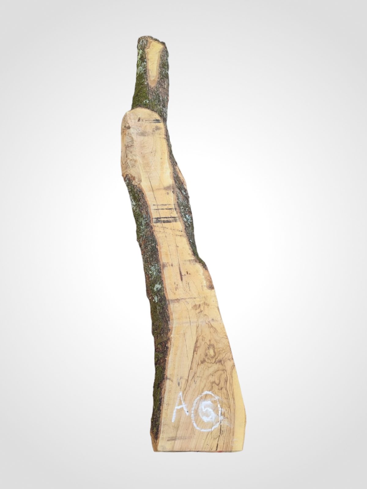 Oliva 70 mm - 5