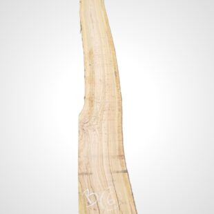 Oliva 70 mm - 6
