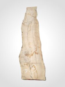Oliva 70 mm - 72