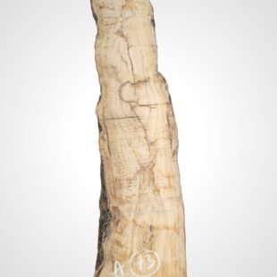 Oliva 70 mm - 73