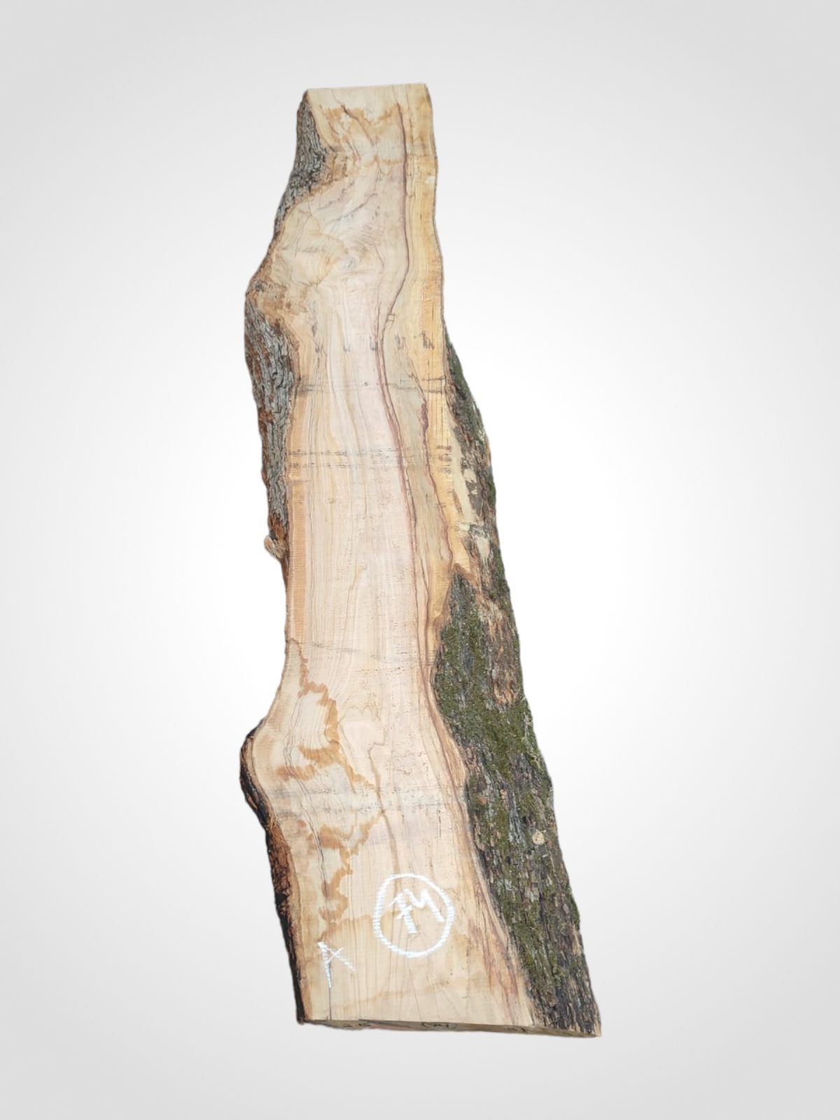 Oliva 70 mm - 74