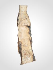 Oliva 70 mm - 76