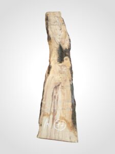 Oliva 70 mm - 77