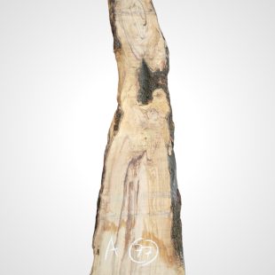 Oliva 70 mm - 77