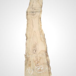 Oliva 70 mm - 77