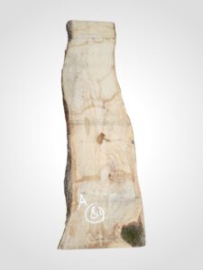 Oliva 70 mm - 81